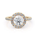 MICHAEL M Engagement Rings 18K Yellow Gold Europa R320-1.5 R320-1.5YG