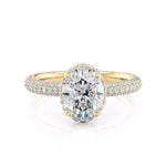 MICHAEL M Engagement Rings Crown R808-2.5