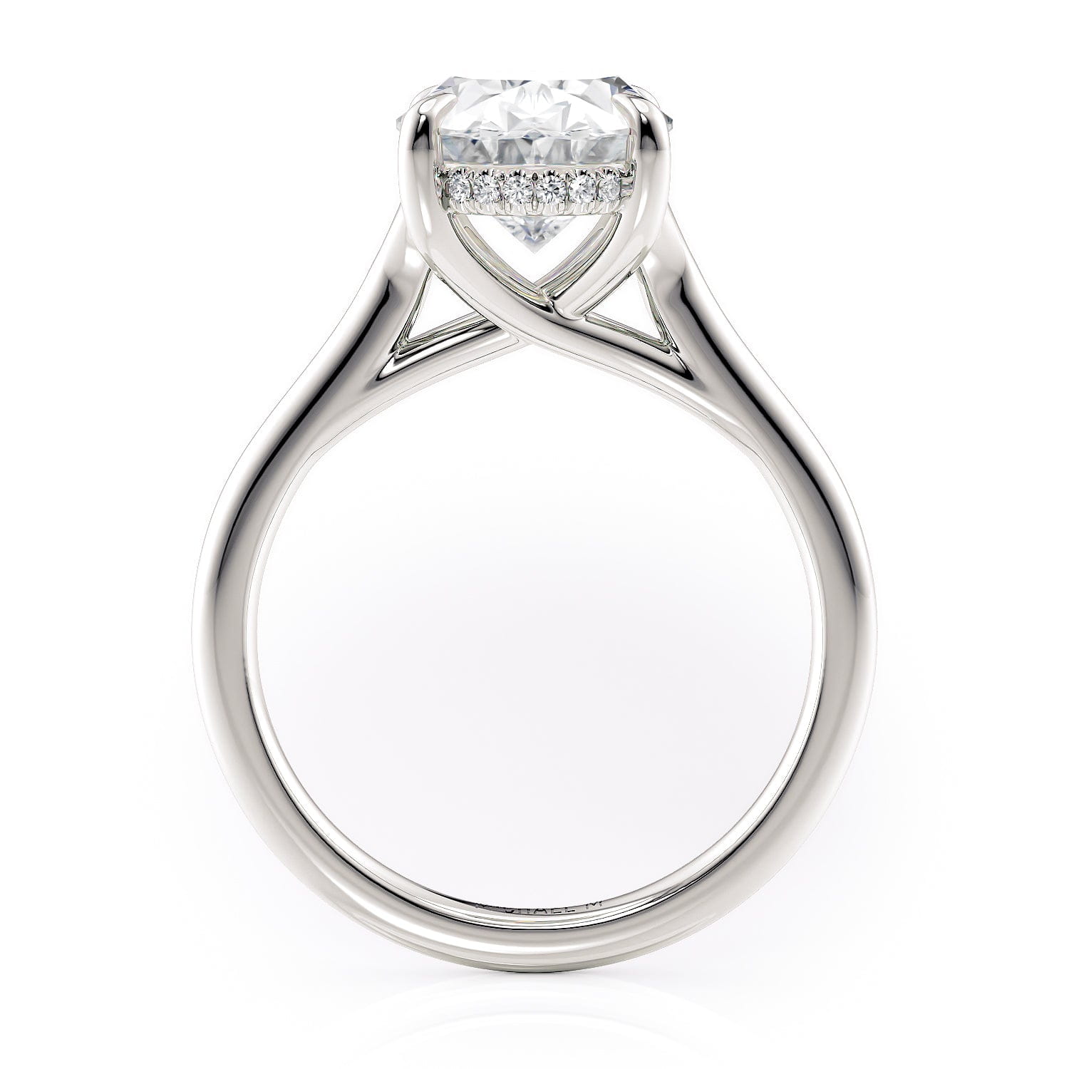 MICHAEL M Engagement Rings Crown R828-3