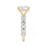 MICHAEL M Engagement Rings Montage R795-4