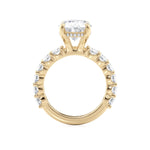 MICHAEL M Engagement Rings Montage R795-4