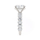 MICHAEL M Engagement Rings Montage R795-4
