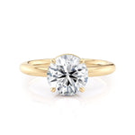 MICHAEL M Engagement Rings Montage R811-2