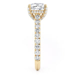 MICHAEL M Engagement Rings Crown R780-2