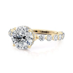 MICHAEL M Engagement Rings Crown R790-2