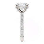 MICHAEL M Engagement Rings Crown R796-3