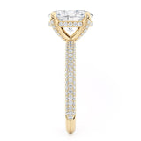 MICHAEL M Engagement Rings Crown R796-3