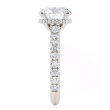 MICHAEL M Engagement Rings Crown R799-3