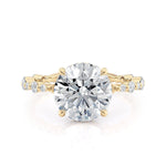 MICHAEL M Engagement Rings Crown R815-3