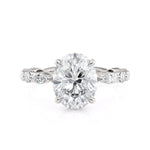 MICHAEL M Engagement Rings Montage R802-3