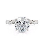 MICHAEL M Engagement Rings Platinum Crown R815-3