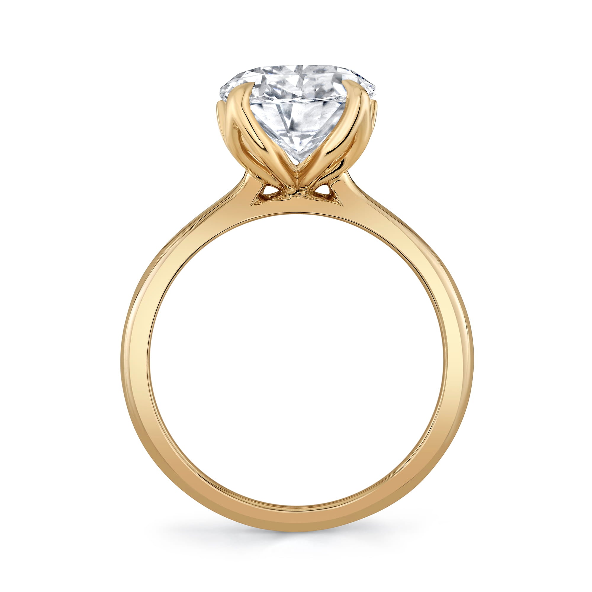 MICHAEL M Engagement Rings *Tulip R851
