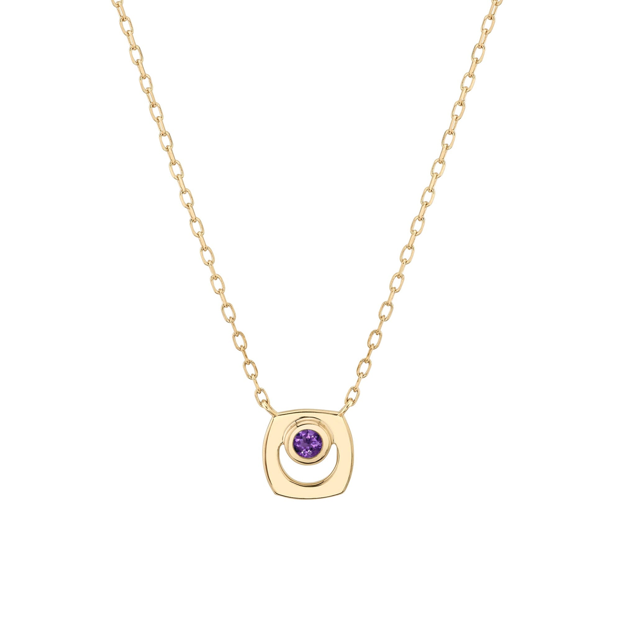 MICHAEL M Necklaces 14K Yellow Gold / Amethyst - February Signature Birthstone Necklace CN435AM